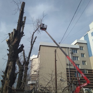 Фото от владельца Аврора, ООО