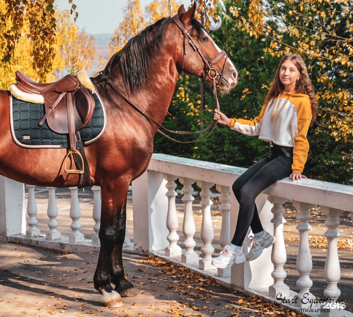 Гелиос конный клуб. Фотосессия с лошадьми Иркутск. Луговое Тюмень конный клуб.