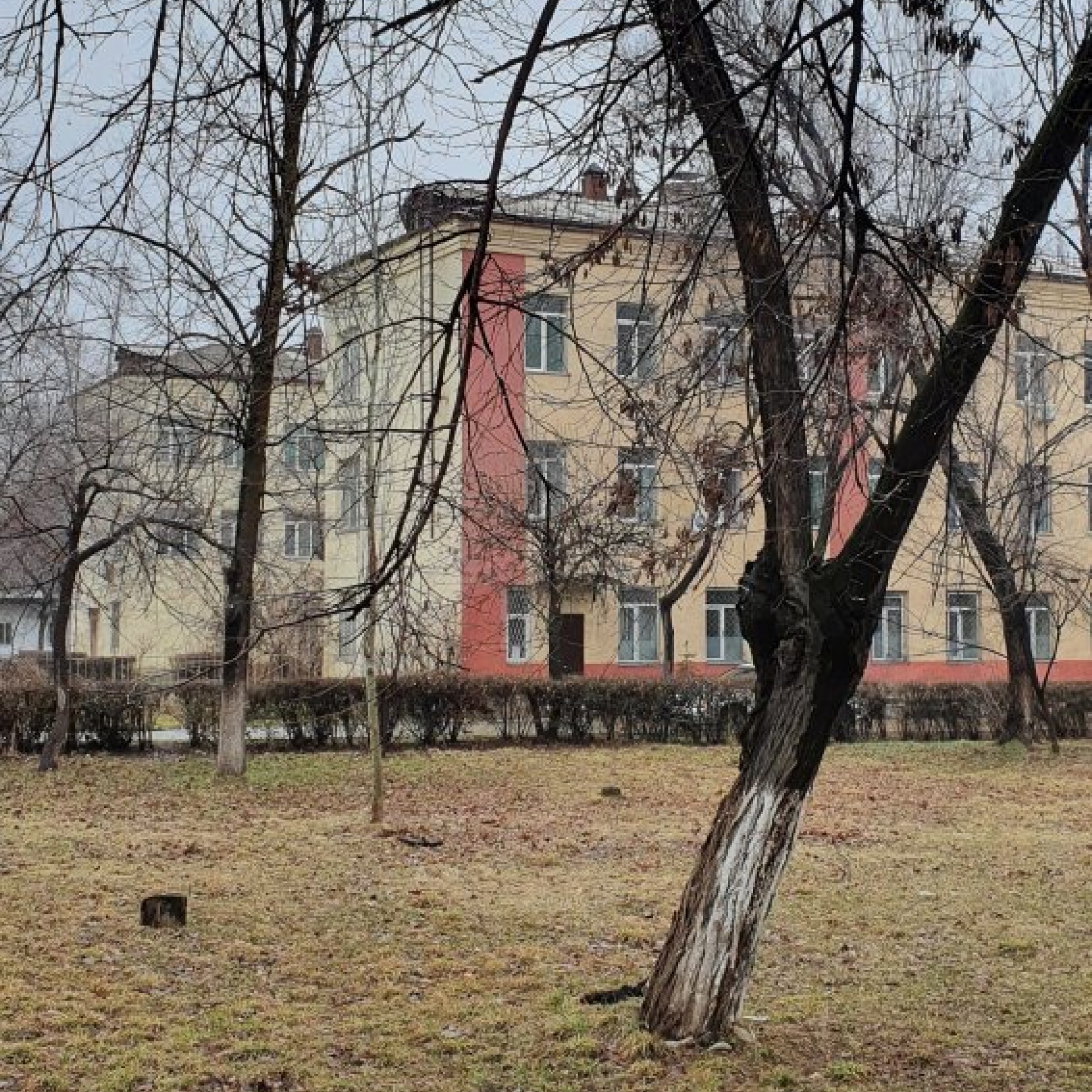 Современный вид; дата публикации в 2GIS