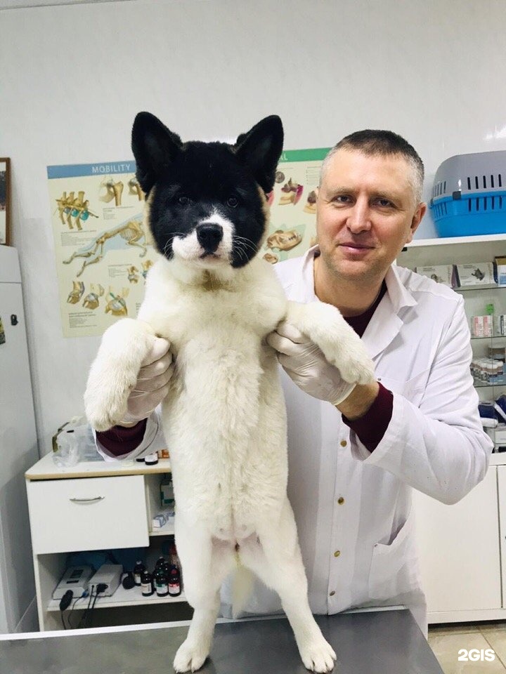 Ветклиники Чехова