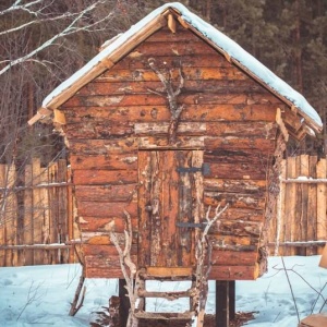 Фото от владельца Горка, физкультурно-спортивный клуб