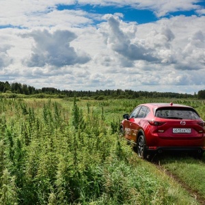 Фото от владельца MAZDA, автосалон