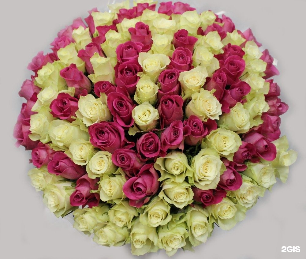 Розы майкоп. Красивые большие букеты. Шикарный букет роз. Огромный букет цветов. Шикарный букет из роз.