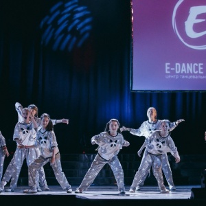 Фото от владельца E-Dance Studio, центр танцевального искусства