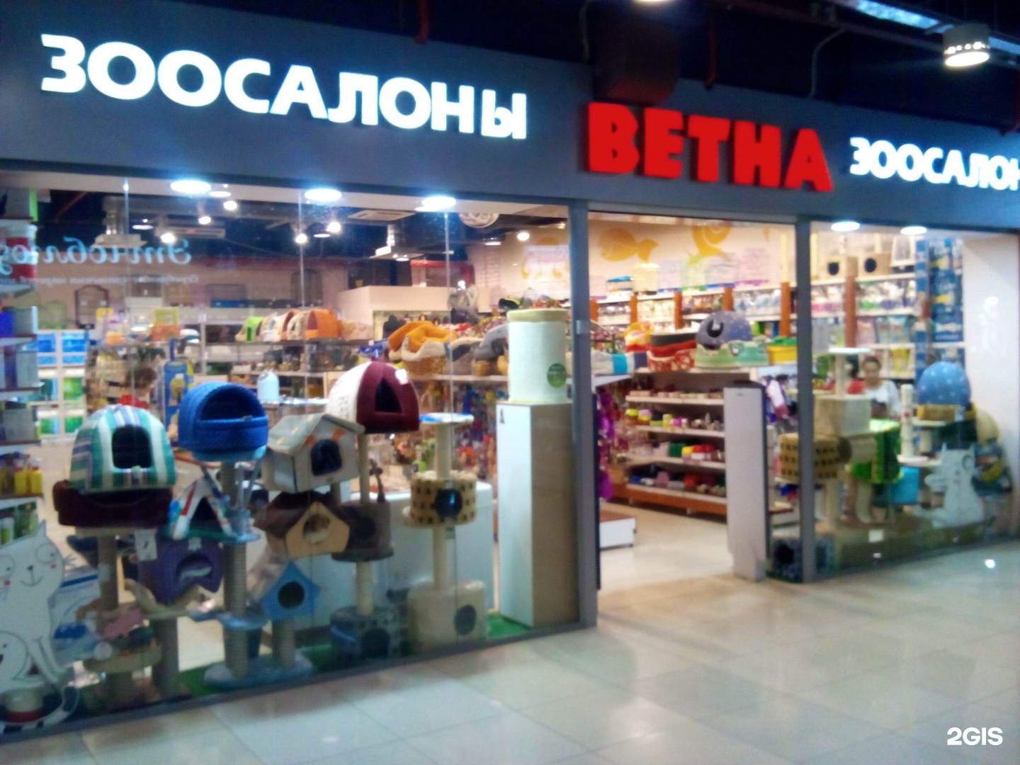 Сайт зоомагазинов уфа. В центре зоомагазин. Зоомагазин в планете Уфа. Ветна зоомагазин Нефтекамск. Зоомагазин Уфа с животными.