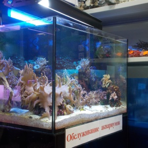 Фото от владельца Водный мир, магазин аквариумов