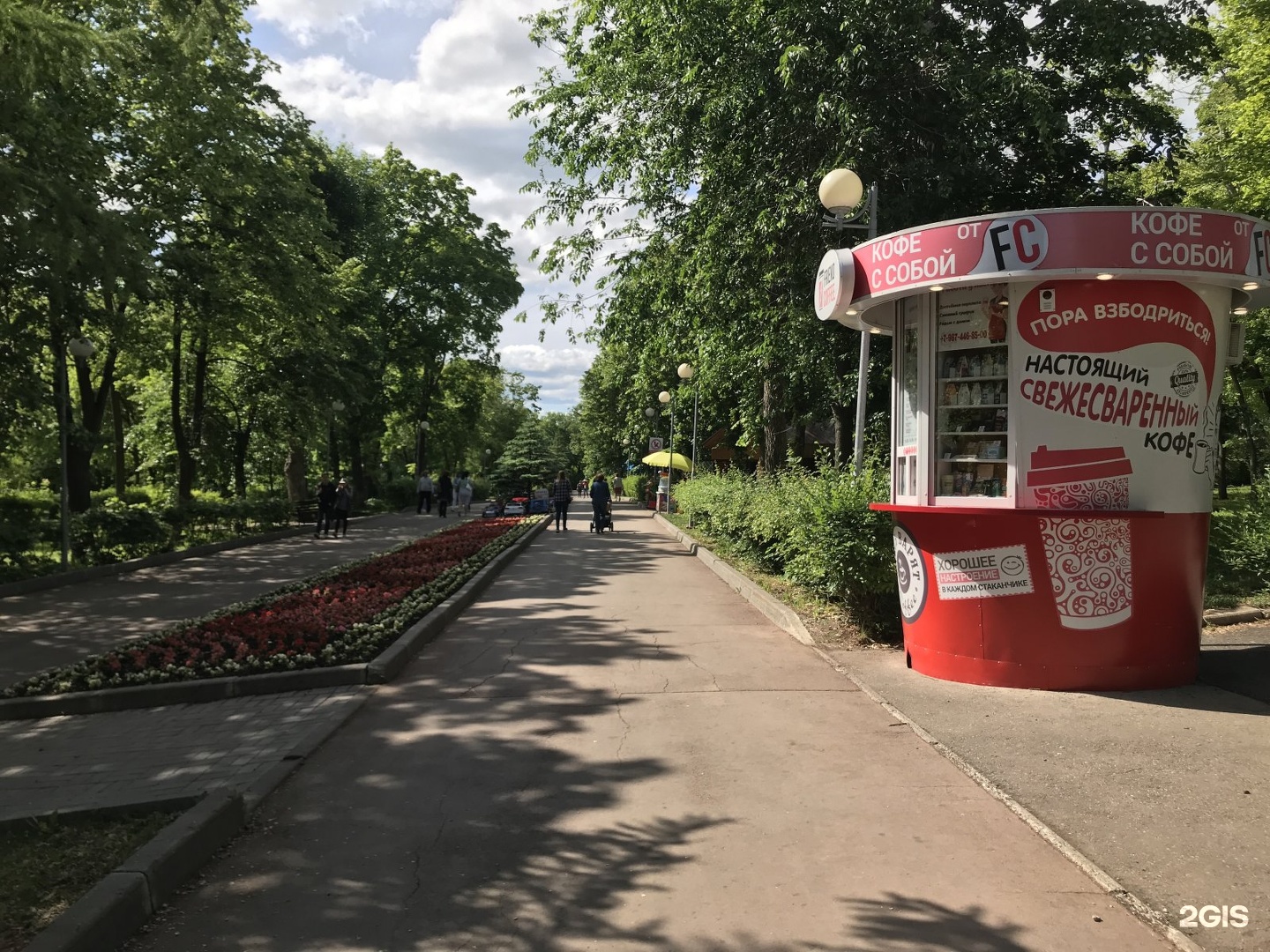 Самара 10 июня. New Coffee Самара. Самара Ново Садовая 158 фото. Botanic Coffee, Самара. White Cup Самара кофейня.