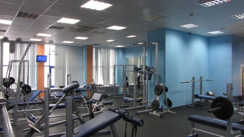 Фитнес зебра нижний новгород. Форс фитнес нижний новгород. Зебра зал южное шоссе. Ворлд класс строгино. Тренажерный зал зебра нижний новгород.