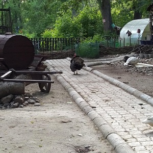 Фото от владельца Парк культуры и отдыха им. 1 мая