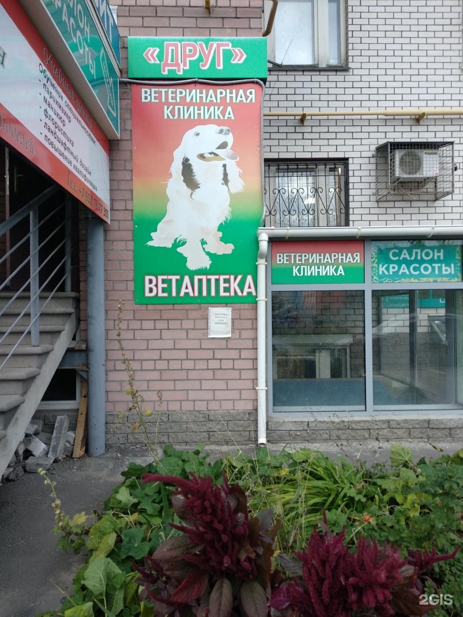 Тонкинская 13 нижний новгород. Вет друг ветклиника. тонкинская 5. тонкинская 5 нижний новгород.