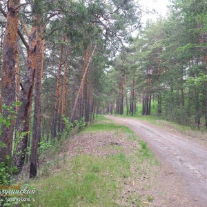 Фото от владельца Чернолучинский, компания по продаже земельных участков