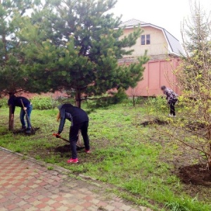 Фото от владельца Альтера Вита, реабилитационный центр