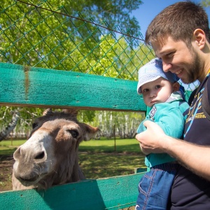 Фото от владельца Играйка, детский центр развития