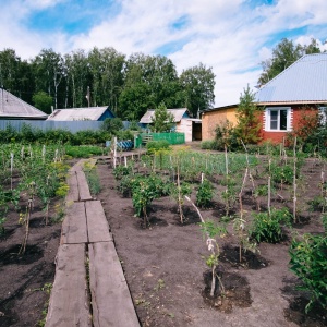 Фото от владельца Становление, реабилитационный центр