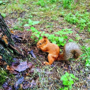 Фото от владельца Сказка, комплекс загородного отдыха