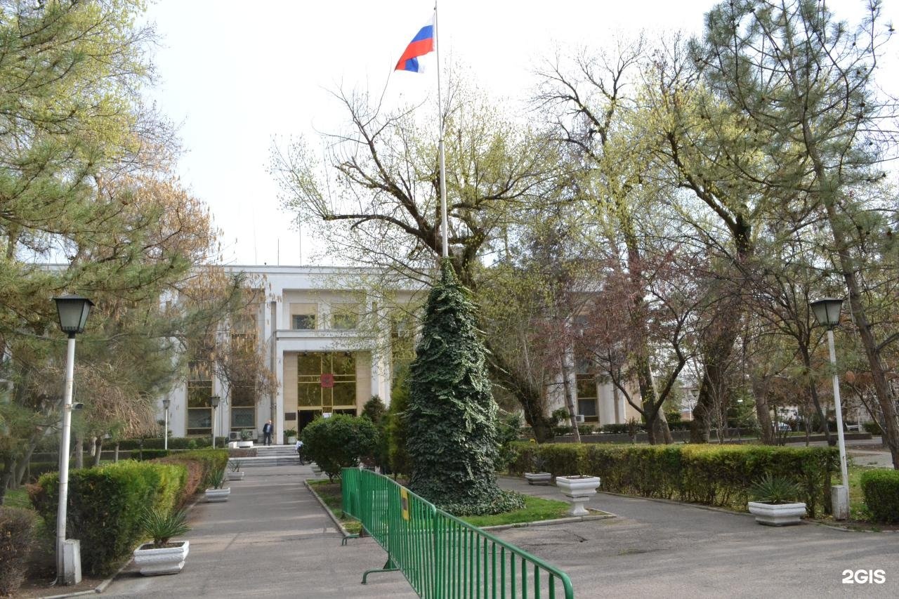 Российское посольство в ташкенте. Посольство России в Узбекистане. Посольство Египта в Ташкенте. Посольство РФ на Кипре.