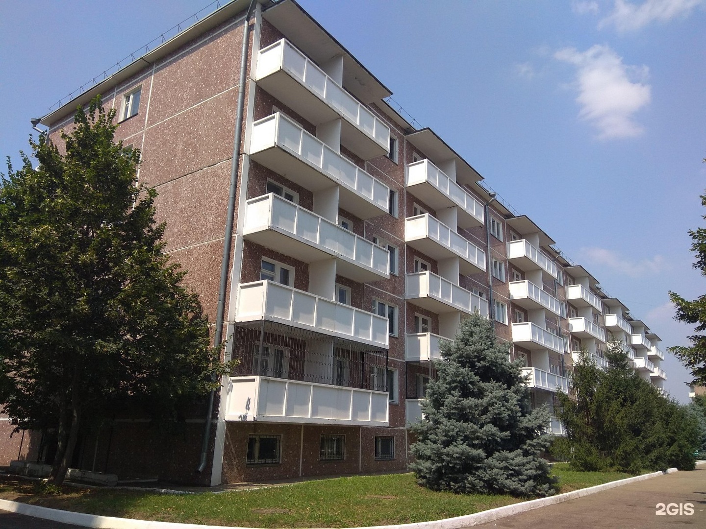 Общежитие кубгу в краснодаре фото