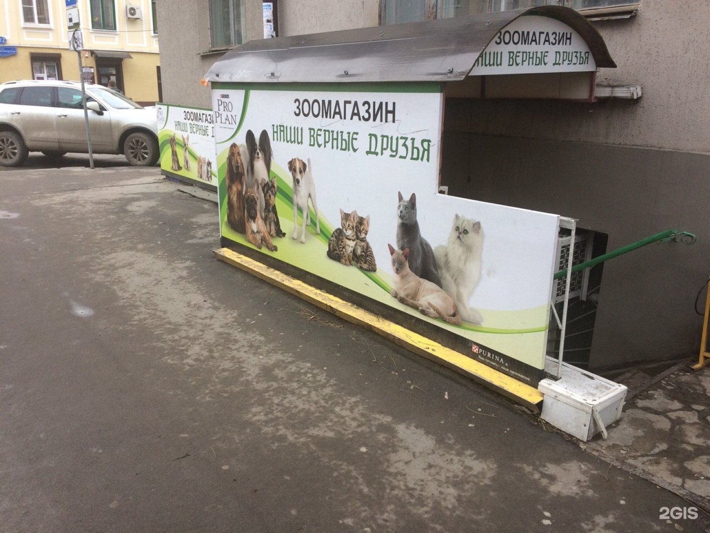 зоомагазин друг. зоомагазин дружок. верные друзья зоомагазин. дружба владивосток. верные друзья зоомагазин.
