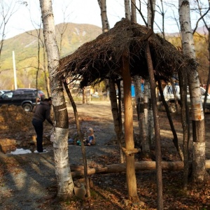 Фото от владельца Радово в Лукьяновке, детский летний эко-лагерь