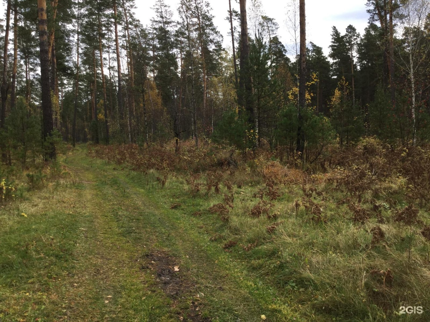 Чепош парк алтай фото