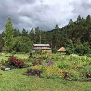 Фото от владельца Горно-Алтайский ботанический сад