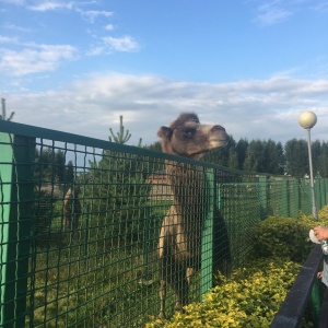 Фото от владельца Ярославский зоопарк