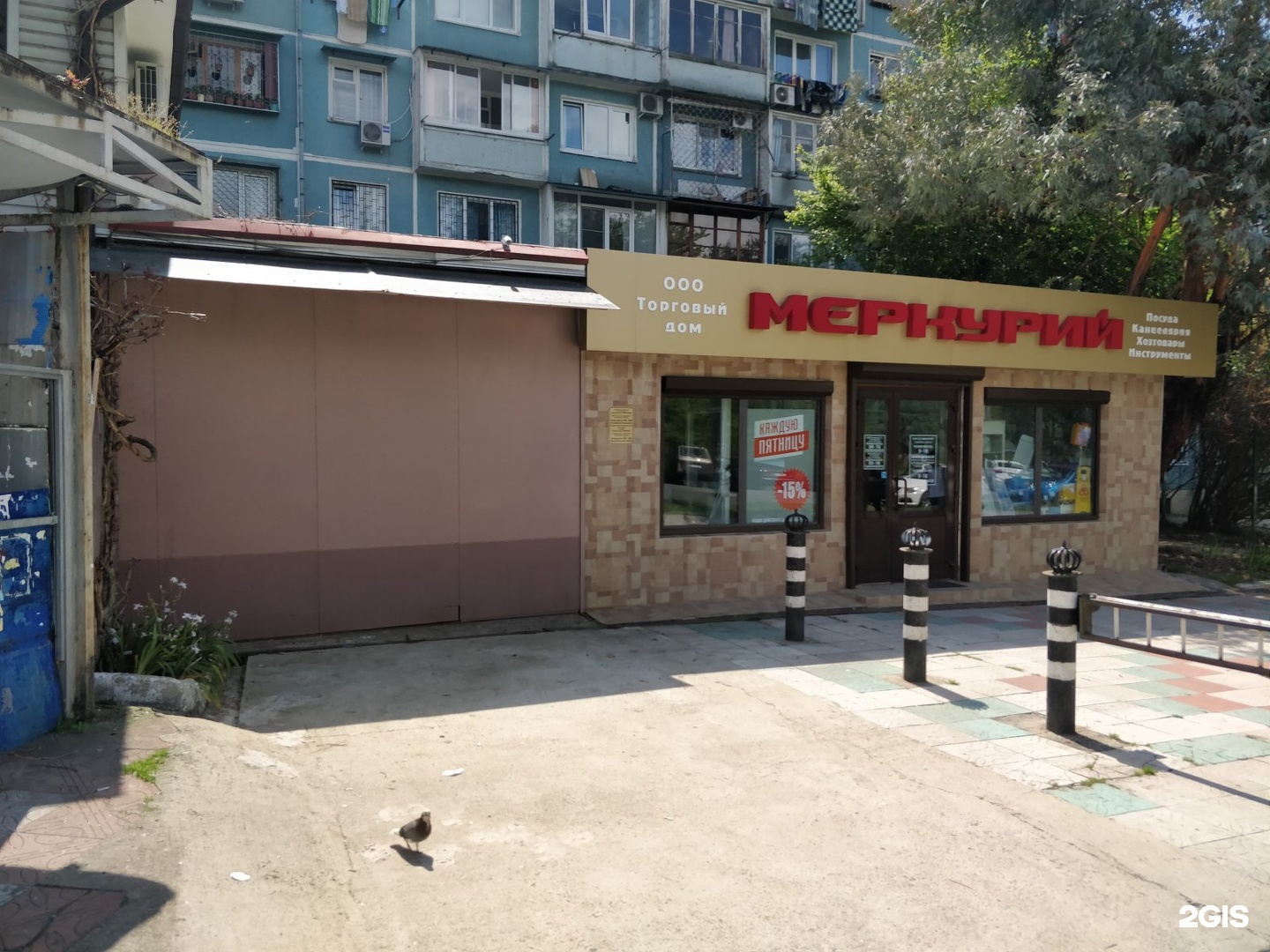 макаренко 8/8 сочи. гимназия 6 сочи. макаренко, 8/11. абрикосовая поликлиника сочи. детская макаренко сочи телефон.