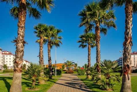 Сириус: Отель Спортивный Квартал