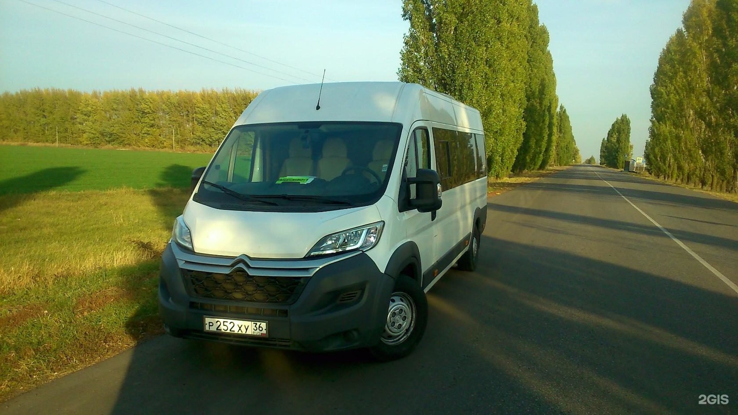 мкп мтк воронежпассажиртранс воронеж. автобус врн. 662 автобус. автобус врн. варшава воронеж перевозки пассажирские.