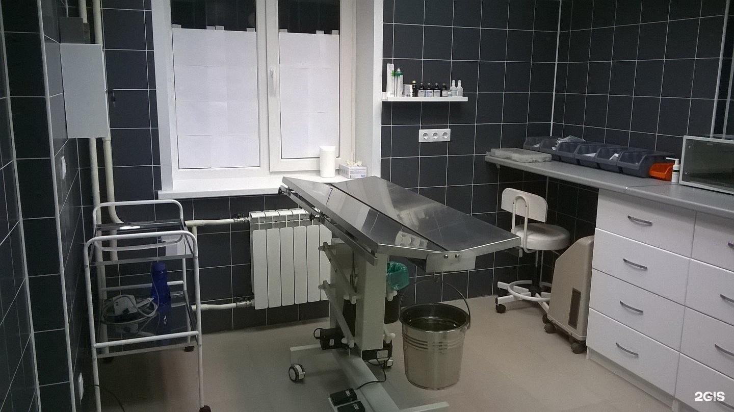 кантривет. кантривет внииссок. Kantryvet. кантривет. кантривет внииссок.