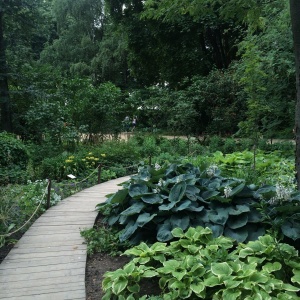 Фото от владельца Аптекарский огород, ботанический сад