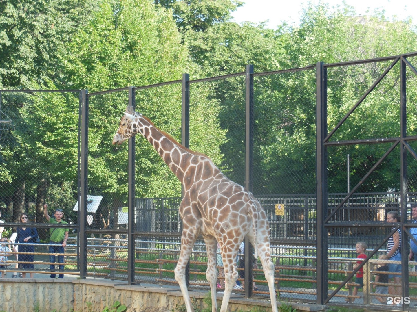 Большая грузинская зоопарк