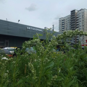 Фото от владельца Авто Запад Моторс, автосервис