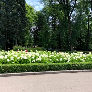 Фото от владельца Сокольники, парк культуры и отдыха