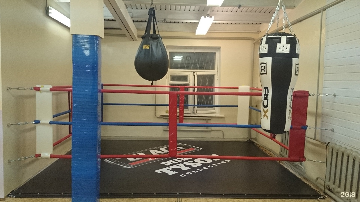 Мультик метеор на ринге. Метеор бокс мультфильм. Метеор бокс. Метеор на ринге мультфильм. Союзмультфильм метеор на ринге.