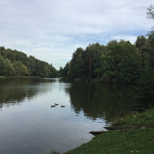 Фото от владельца Царицыно, парк культуры и отдыха