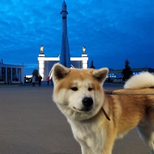 Фото от владельца ВДНХ, ОАО