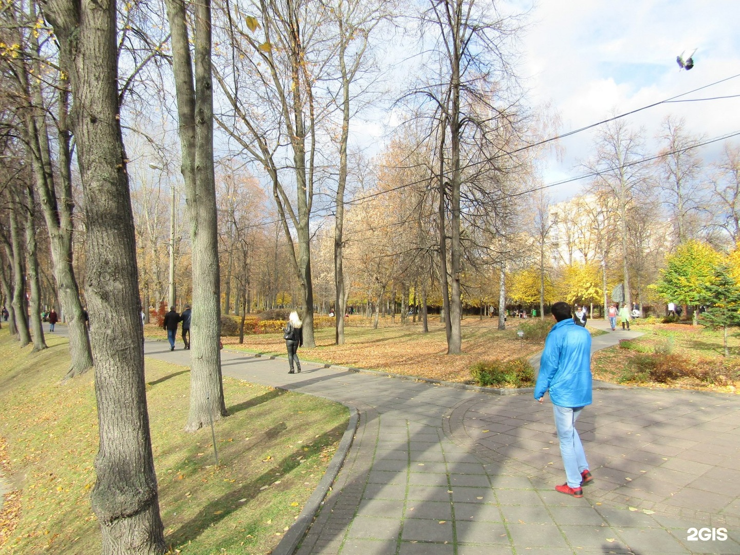 парк трубецких в хамовниках