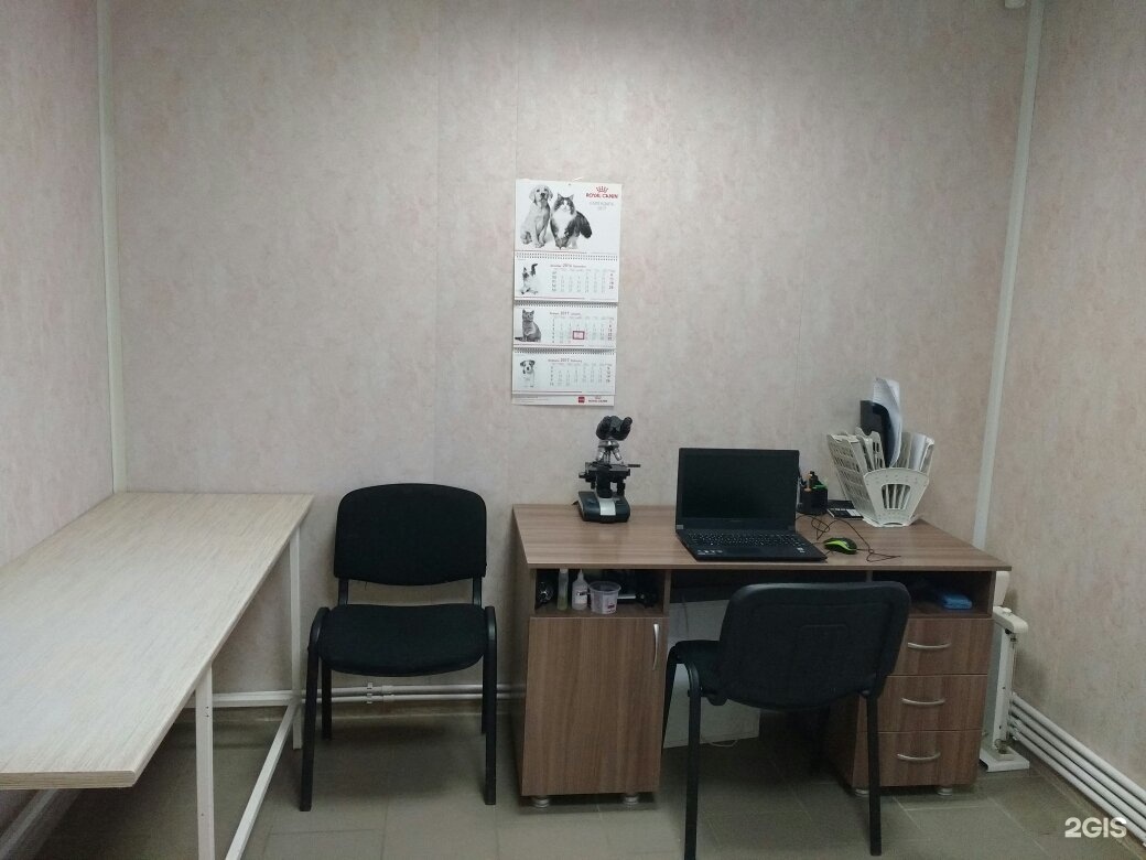 ветеринарная волжск. кис вет волжский. кисвет волжский телефон. кис вет. кис вет.