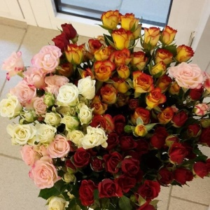 Фото от владельца Дом цветов, сеть магазинов цветов