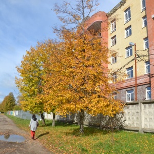 Фото от владельца Берендеевы пруды, строящиеся объекты