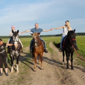 Фото от владельца Royal Horse, конный клуб