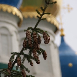 Фото от владельца Храм Благовещения Пресвятой Богородицы