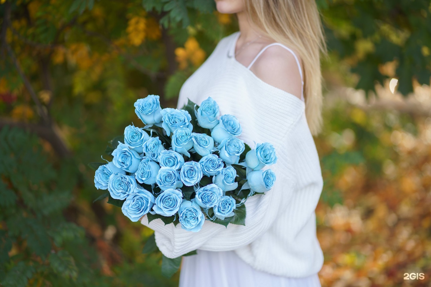 кутузова цветы