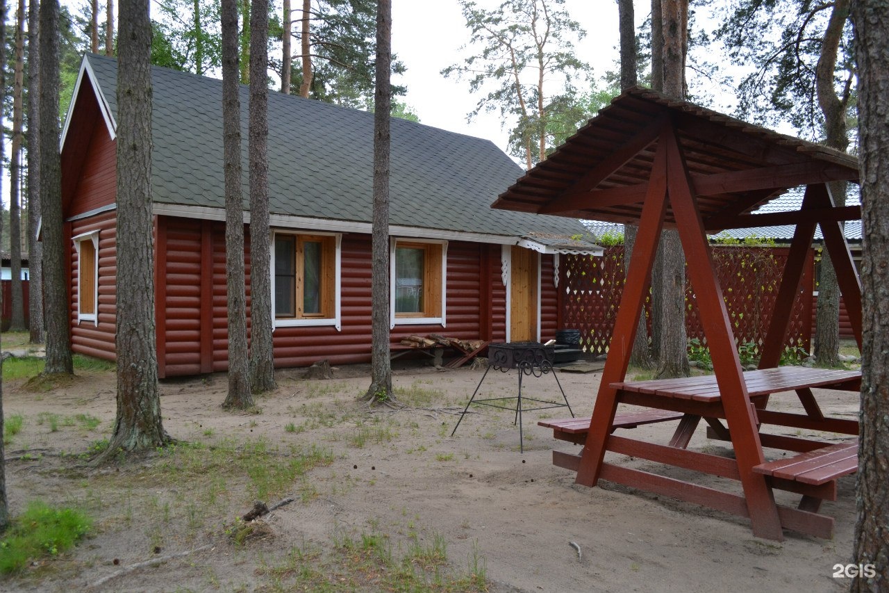 Green village база отдыха в ленобласти. База Грин Вилладж Приозерский район. Green Village Лосево. Грин Виллидж Green Village. Вырица Вилладж база.