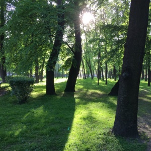 Фото от владельца Центральный парк культуры и отдыха им. С.М. Кирова