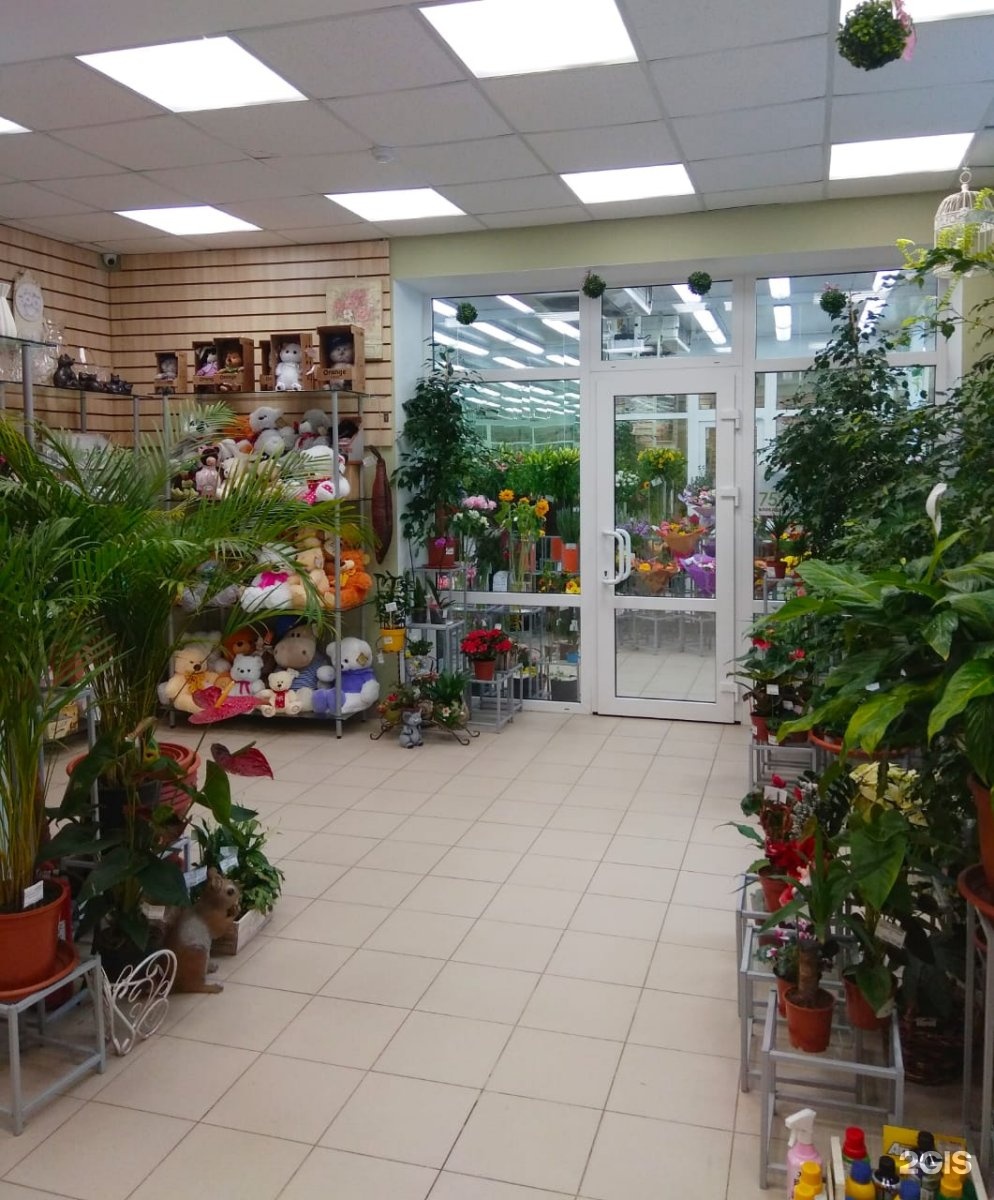 санкт петербург магазин цветов на оптиков 50. цветыоптрозница спб. салон цветов санкт-петербург. проспект просвещения, 21/139. цветыоптрозница.