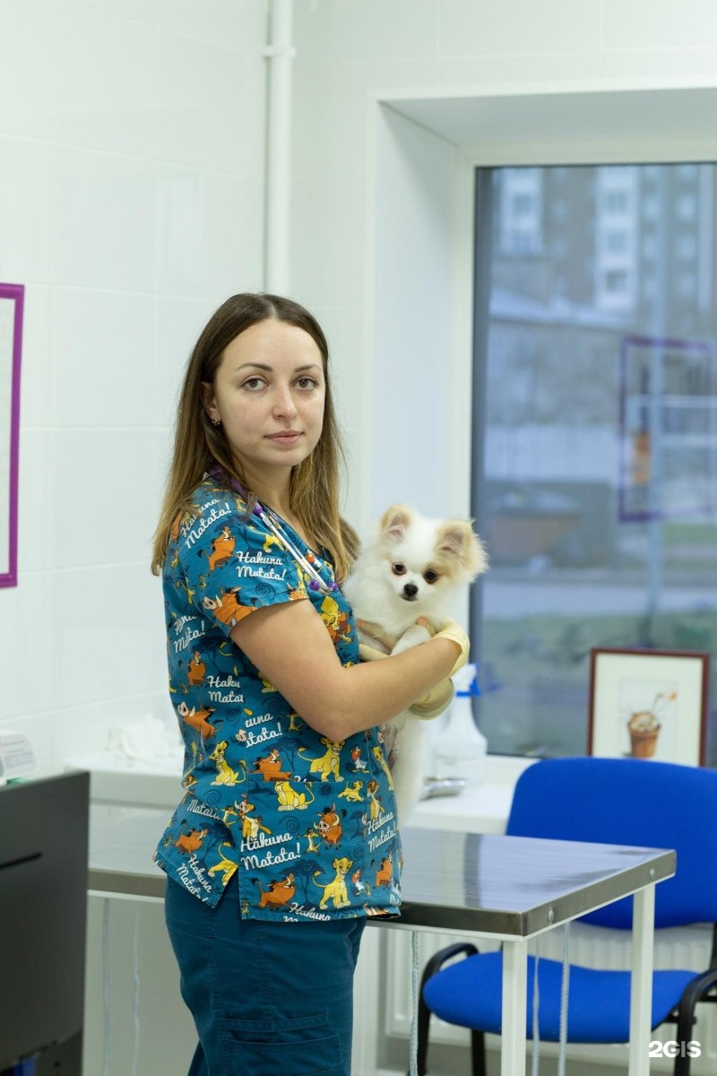 Ставропольская 268 краснодар. Ветэксперт ставрополь шпаковская. Ветклиника ставрополь шпаковская. Ветклиника ставрополь шпаковская. Ветклиника ставрополь шпаковская.