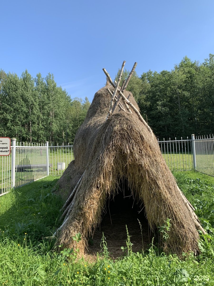 Шалаш проверочное слово. Однокоренные слова к слову шалаш. Основные элементы письма. Середина ( — ), одна треть сверху или снизу (х), в слове страусёнок. Шалашек или шалашик как пишется.