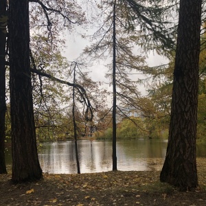 Фото от владельца Центральный парк культуры и отдыха им. С.М. Кирова